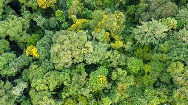 A la découverte du tombeau de Jésus, le lieu le plus sacré au monde !