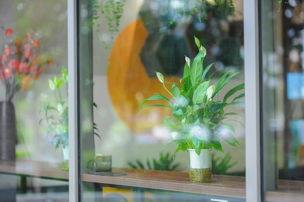 Magicien à lyon - mathieu grant : des spectacles inoubliables